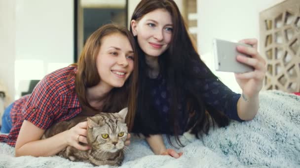 Две счастливые женщины друзья лежат в постели и делают селфи с котом и весело провести время на кровати дома — стоковое видео