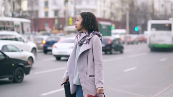 Attraktiv afroamerikanska kvinna med shoppingkassar efterlyser taxibil när du kommer tillbaka från mall försäljning — Stockvideo