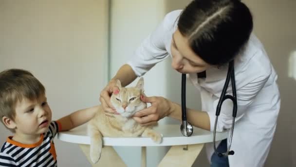 Veterinaria mujer examinando gato con pequeño niño propietario en médico oficina — Vídeos de Stock