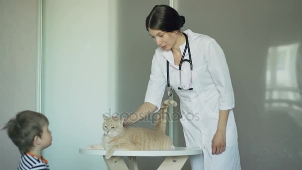 Veterinär kvinna undersökande katt med little boy ägare i medicinsk kontor — Stockvideo