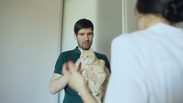 Homem proprietário do gato conversando com mulher veterinária no escritório veterinário — Vídeo de Stock