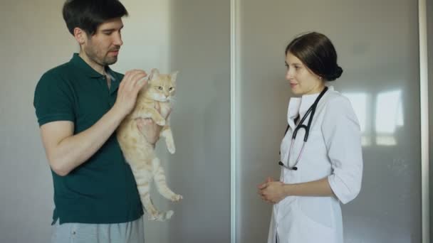 Homem proprietário do gato conversando com mulher veterinária no escritório veterinário — Vídeo de Stock