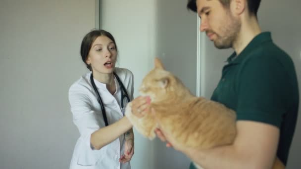 Kat eigenaar man spreken met dierenarts vrouw in kantoor van de dierenarts — Stockvideo