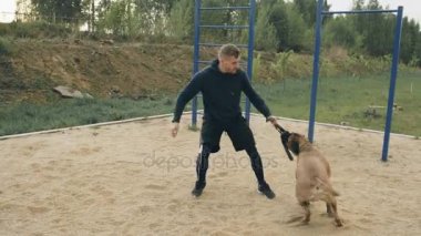 Sportif genç adam açık havada Park'ta bullmastiff köpeğiyle eğitim ve hayvanını rekabet için hazırlanıyor