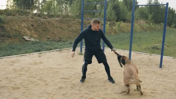 Joven deportista entrenando con su bullmastiff dog al aire libre en el parque y preparando a su mascota para la competición — Vídeos de Stock