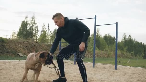 Молодой спортсмен тренируется со своей бульмастиф-собакой на открытом воздухе в парке и готовит своего питомца к соревнованиям — стоковое видео