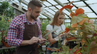 Genç Bahçe merkezinde çiçekçi iş çift. Çekici bir adam ve kadın önlük serada çalışma sırasında tablet bilgisayar kullanarak çiçek sayısı