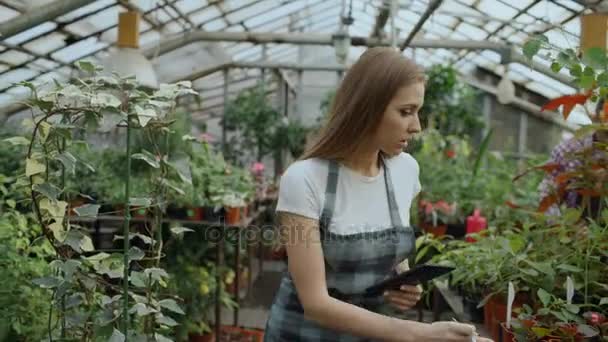 Eine junge Frau, die in einem Gartencenter arbeitet. attraktive Mädchen checken und zählen Blumen mit Tablet-Computer während der Arbeit im Gewächshaus — Stockvideo