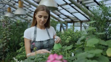 Önlük sulama bitki ve çiçekler içinde çekici kadın bahçıvanla sera bahçe püskürtücü