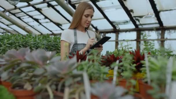 Dolly Bahçe merkezinde çalışan genç kadın bir kadeh. Çekici kız kontrol edin ve çiçekler sera, eser sırasında tablet bilgisayar kullanarak saymak — Stok video