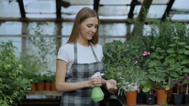 Jardineiro mulher atraente em plantas de rega avental e flores com pulverizador de jardim em estufa — Vídeo de Stock