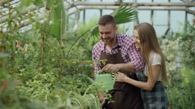 Mutlu genç çiçekçi kaç serada çalışan önlük içinde. Neşeli kadın kucaklama ve eşi sulama Bahçe potu çiçekler öpücük