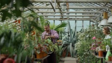 Mutlu genç çiçekçi kaç serada çalışan önlük içinde. Neşeli kadın kucaklama ve öpücük sulama Çiçek Bahçe pot ile kocası