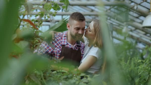Mulher alegre abraçar e beijar o marido regando flores com pote de jardim. feliz jovem florista casal em avental trabalhando em estufa — Vídeo de Stock