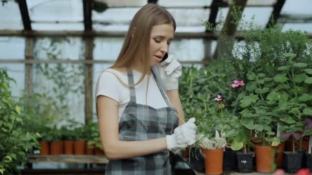 Jovem mulher alegre em avental e luvas falando telefone enquanto plantas de jardinagem e soltar o chão em flor em estufa — Vídeo de Stock