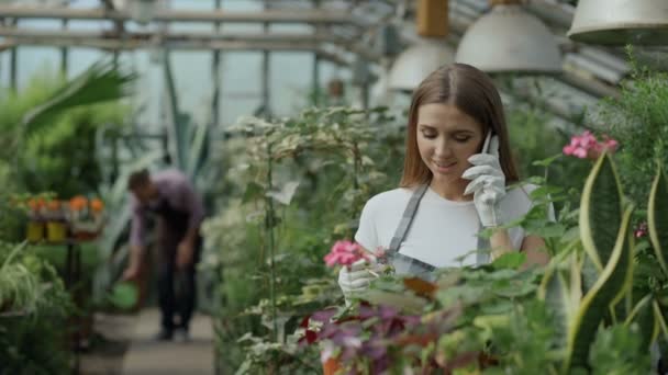Joven mujer alegre en delantal y guantes hablando de teléfono mientras que las plantas de jardinería y aflojar el suelo en flor en invernadero — Vídeo de stock