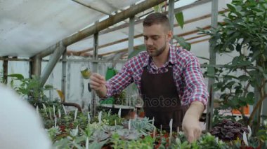 Genç Bahçe merkezinde çiçekçi iş çift. Çekici bir adam cheking çiçek ve serada çalışma sırasında tablet bilgisayar kullanan kadın