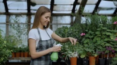 Mutlu genç çiçekçi aile serada çalışan önlük. Çekici bir adam embrace ve eşi o sulama ise bahçe sprey ile çiçekler öpücük