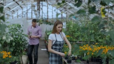 Müşteriye söz ve giving onu tavsiye Bahçe merkezinde çalışırken genç dostu kadın bahçıvan