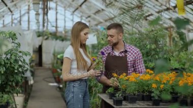 Genç neşeli müşteriye söz ve Bahçe merkezinde çalışırken tavsiyede çiçekçi adam