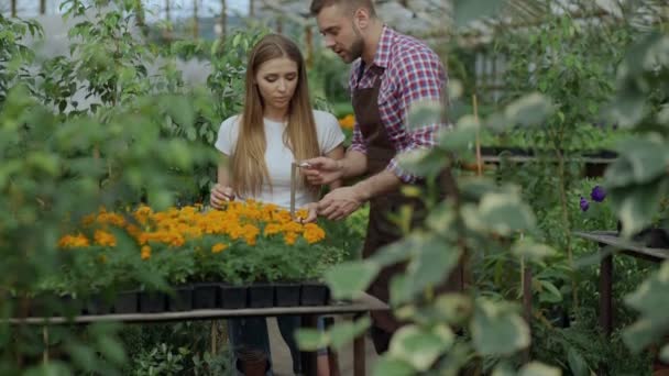 Junger fröhlicher Mann Florist spricht mit Kunden und berät bei der Arbeit im Gartencenter — Stockvideo