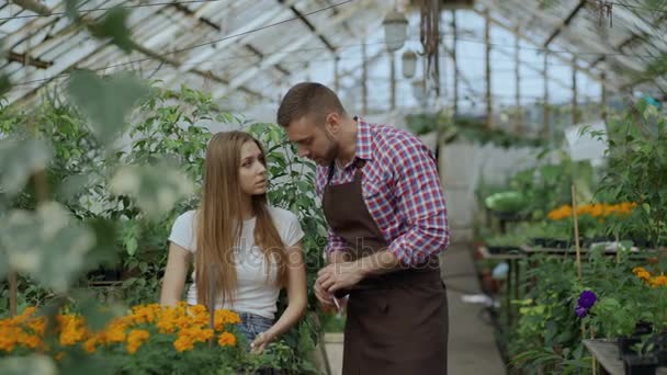 Молодий веселий чоловік флорист розмовляє з клієнтом і дає поради під час роботи в садовому центрі — стокове відео