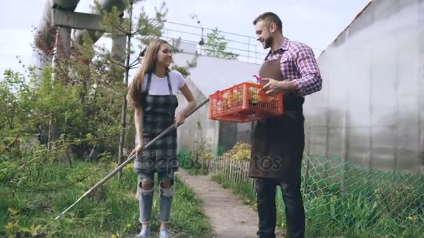 Una coppia attraente lavora vicino alla serra. Uomo giardiniere in grembiule raccogliere immondizia in giardino, mentre sua moglie parlando lui tenendo scatola con fiori — Video Stock