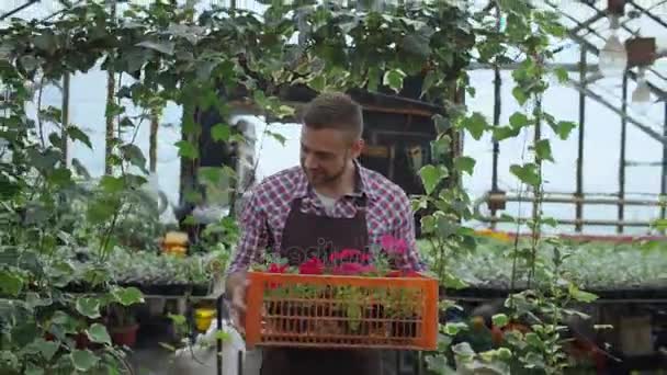 Dolly tiro de feliz sonriente hombre en delantal celebración caja con flores caminando en su invernadero — Vídeos de Stock