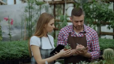 Genç Bahçe merkezinde çiçekçi iş çift. Çekici bir adam cheking çiçek ve serada çalışma sırasında tablet bilgisayar kullanan kadın