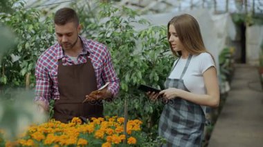 Genç çift Bahçe merkezinde çalışıyorum. Çekici bir adam cheking çiçek ve serada çalışma sırasında tablet bilgisayar kullanan kadın