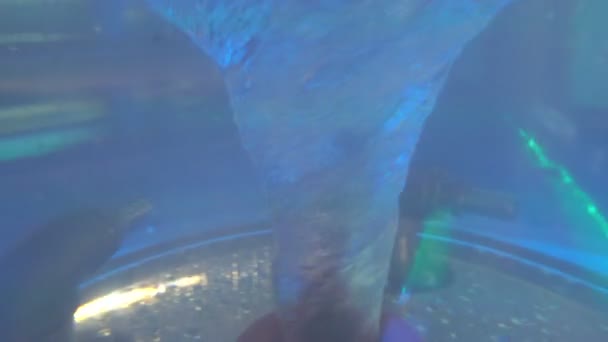 Закрытие искусственного водоворота, движущегося в стеклянном цилиндре — стоковое видео