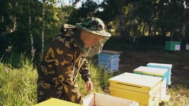 Ο άνθρωπος νέος μελισσοκόμος Ανοίξτε ξύλινη κυψέλη για έλεγχο ενώ εργαζόταν στο μελισσοκομείο — Αρχείο Βίντεο