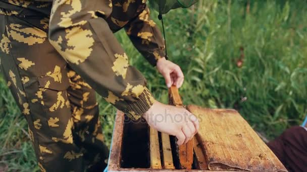 Homem jovem apicultor segurando moldura de madeira com abelhas para verificar enquanto trabalhava no apiário — Vídeo de Stock