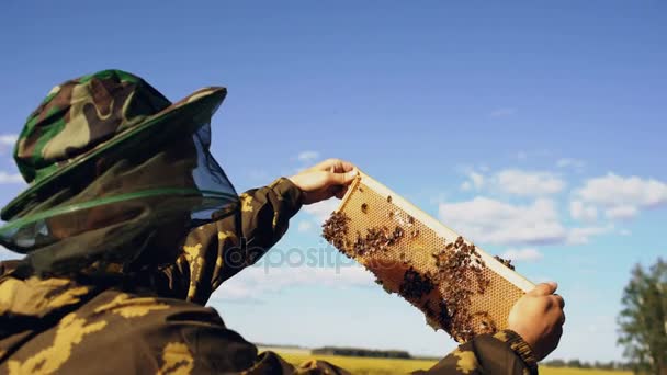 Güneşli günde arı kovanı bal hasat önce ahşap çerçeve denetimi arıcı adam — Stok video