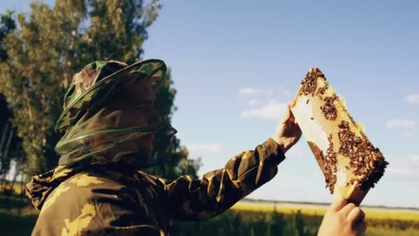 替身拍摄的养蜂人在阳光明媚的日子收获蜂蜜蜂场之前检查木制框架 — 图库视频影像