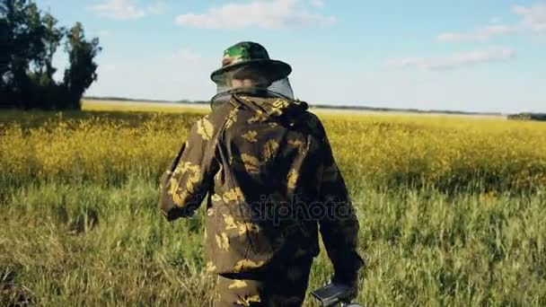 Stedicam shot of beekeeper walking and inspecting blossoming field of flowers near apiary — Stock Video