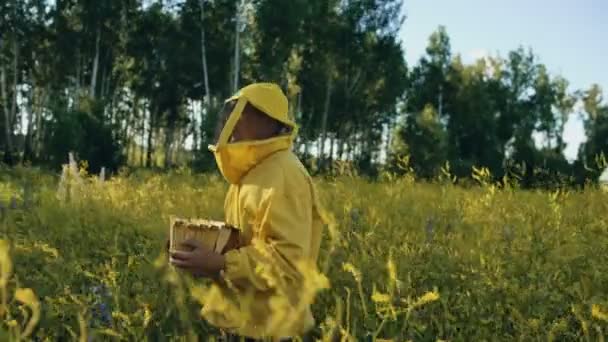 Panera de hombre apicultor con marco de madera caminando en campo de flores mientras trabajaba en colmenar — Vídeo de stock