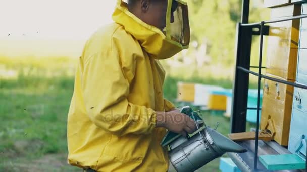 Stedicam 拍摄的年轻养蜂人吸烟蜜蜂从蜂巢中养蜂场 — 图库视频影像