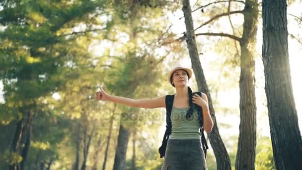 Viajante mulher carona em uma estrada de floresta ensolarada. Menina turística à procura de passeio para iniciar sua jornada — Vídeo de Stock