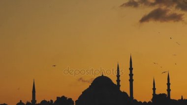 Sunset bulvarında Boğaziçi Istanbul Türkiye üzerinden uçuşan martılar ile Süleymaniye Camii görünümünü Slowmotion