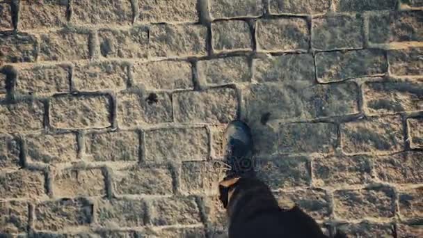 Vista superior POV del hombre en zapatos caminando en la histórica acera antigua — Vídeo de stock