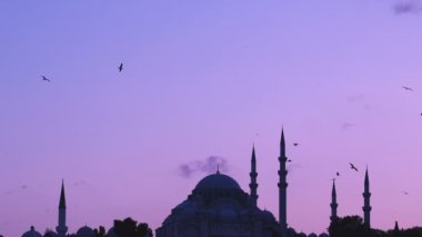 Sunset bulvarında Boğaziçi Istanbul Türkiye üzerinden uçuşan martılar ile Süleymaniye Camii görünümünü Slowmotion