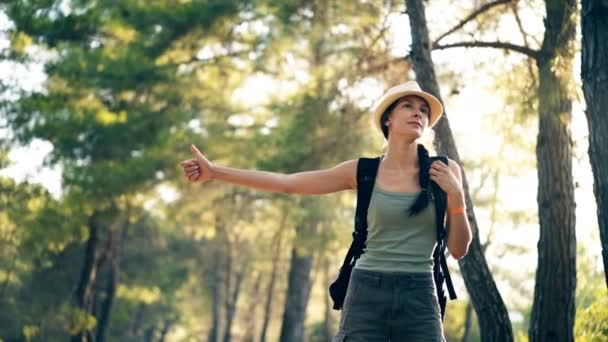 Bir güneşli orman yolda otostop Gezgin kadın. Onu yolculuğa başlamak için binmek için turist kız — Stok video