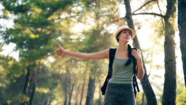 Traveler woman hitchhiking on a sunny forest road. Tourist girl looking for ride to start her journey — Stock Video