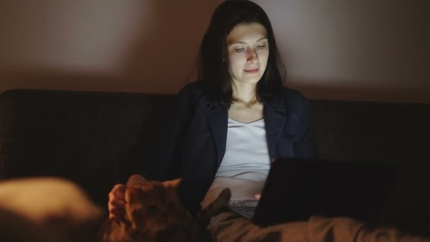 Ung kvinna tittar på laptop och strök katten sitter på soffan hemma i natten — Stockvideo