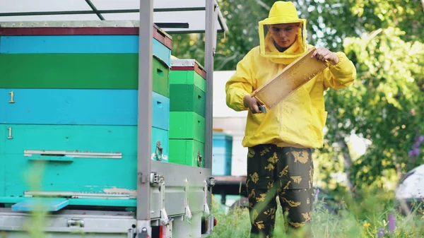 Joven apicultor hombre limpio marco de miel de madera trabajando en el colmenar en el día de verano —  Fotos de Stock