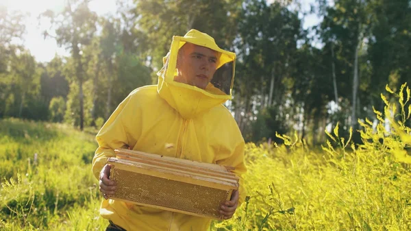 Pszczelarz człowiek z drewnianej ramy, chodzenie w polu kwiatu pracując w pasieki — Zdjęcie stockowe