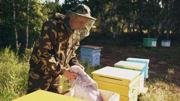 Joven apicultor hombre abren colmena de madera para comprobar mientras trabaja en colmena —  Fotos de Stock