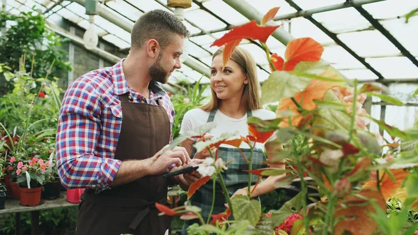 Jong (echt) paar bloemisten werk in tuincentrum. Aantrekkelijke man en vrouw in schort graaf bloemen met behulp van tablet pc tijdens het werken in kas — Stockfoto