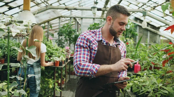 Jeune homme travaillant en jardinerie. Attrayant gars vérifier et compter les fleurs à l'aide d'un ordinateur tablette pendant le travail en serre — Photo